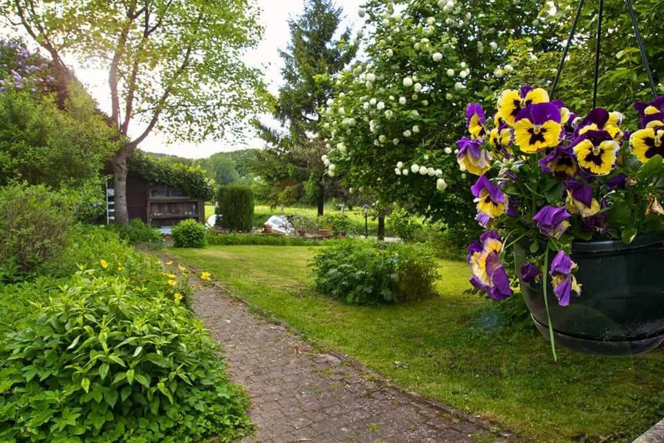La Petite Maison Six Planes Eksteriør billede